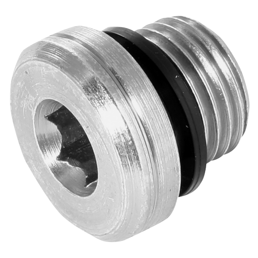 10mm X 1.0mm Metric Sockhead Bonded Seal - 3869-M10-SPG 