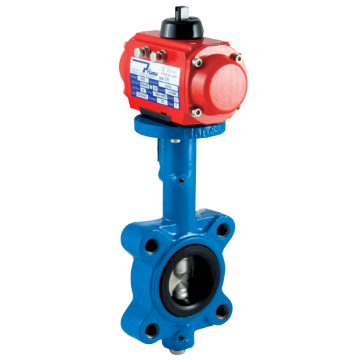 2.1/2" Lugged Butterfly Valve CI/SS/NBR Single Acting - L/SA/65SSNBR 