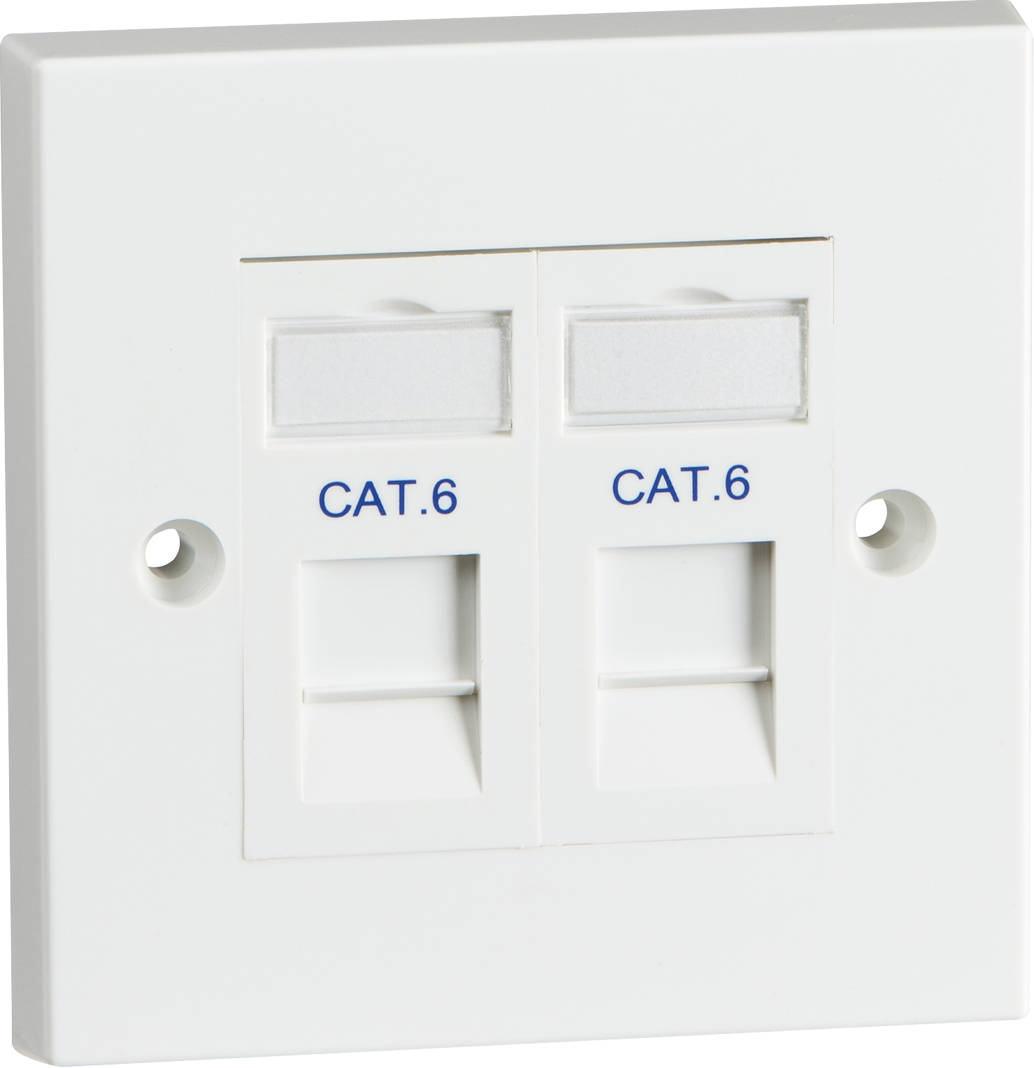 Twin Cat6 Outlet Kit - NET6KIT2 