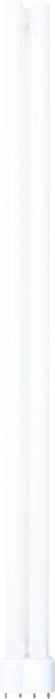 230V 55W 4PIN PL Lamp Cool White 4000K - PL55W4P 