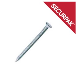 Securpak Round Wire Nails Galvanised 120g - 50mm - STX-101579 