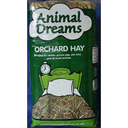 Animal Dreams Orchard Hay - STX-183490 
