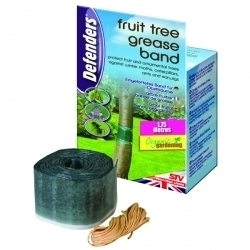 Defenders Fruit Tree Grease Band - 1.75m - STX-315591 