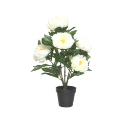 Kaemingk Peony Plant In Pot - 41 x 57cm White - STX-324284 