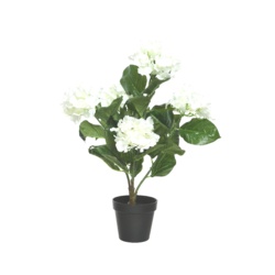 Kaemingk Hydrangea In Pot - 30 x 57cm Cream - STX-324875 
