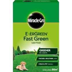 Miracle-Gro Evergreen Fast Green - 80m2 Box - STX-326460 