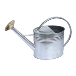 Ambassador Oval Galvanised Watering Can - 5L - STX-344215 