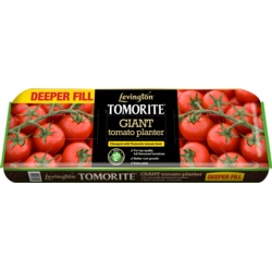 Levington Tomorite Giant Planter - STX-346964 - SOLD-OUT!! 