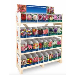 De Ree UK Extra Large Summer Bulbs - Assorted types available - STX-370661 