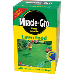 Miracle-Gro Water Soluble Lawn Food - 1kg Carton - STX-482959 