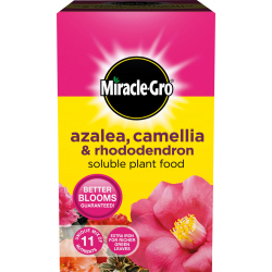 Miracle-Gro Azalea, Camellia & Rhododendron Soluble Plant Food - 500g Carton - STX-551563 