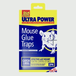 The Big Cheese RTU Mouse Glue Traps - Twinpack - STX-577005 