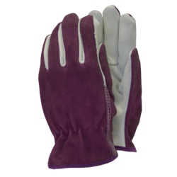Town & Country Premium - Leather Gloves - Ladies Size - M Purple - STX-844405 